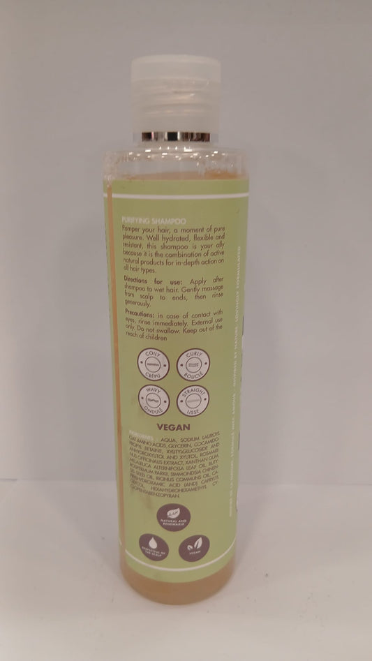 Shampooing Purifiant Éclat de Pureté